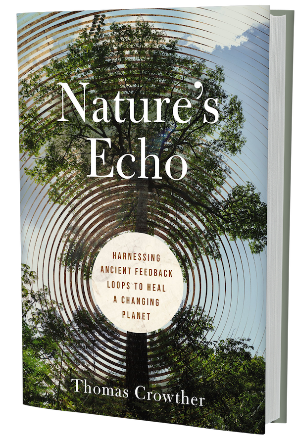 Hardcover of Nature's Echo