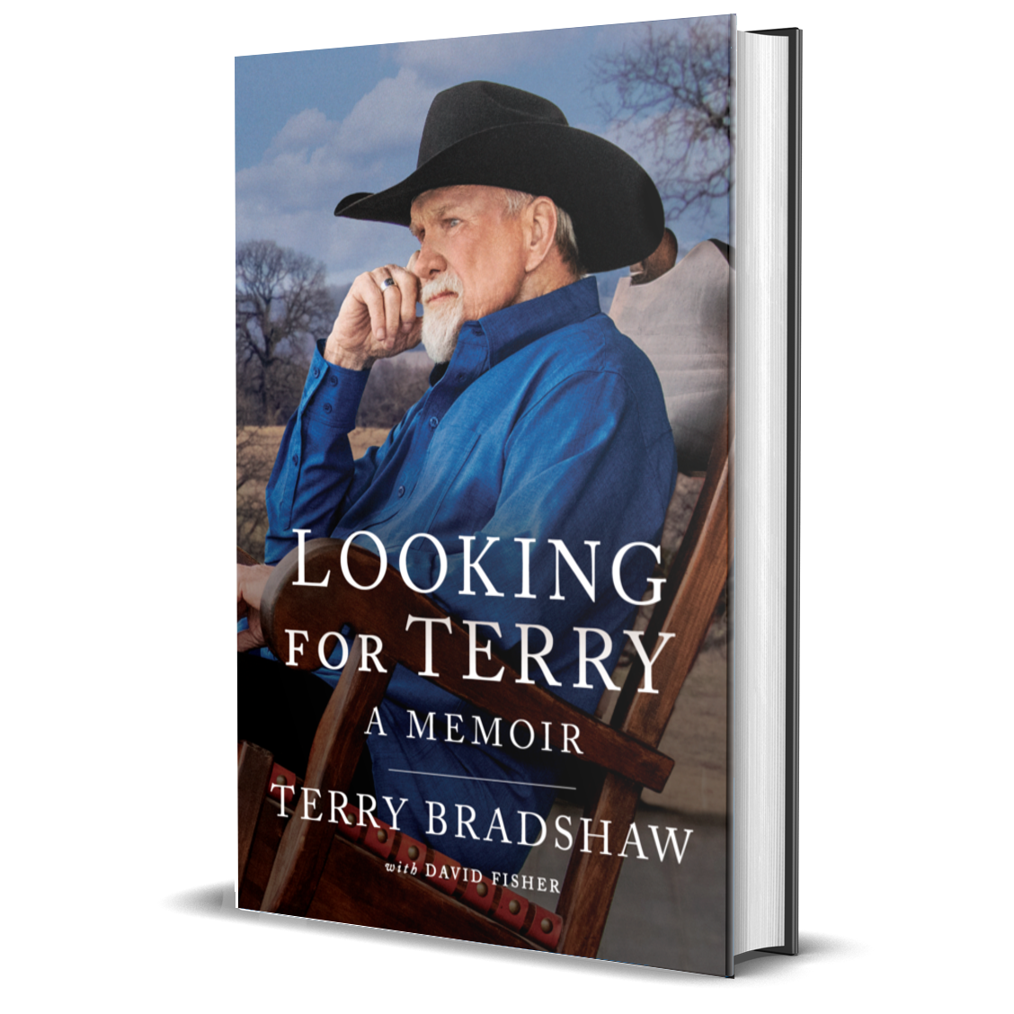 Hardcover of "Looking for Terry"